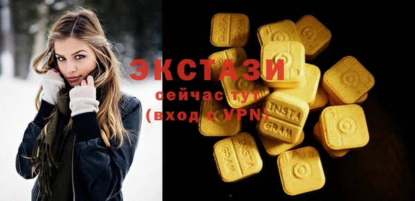 гидра Богданович