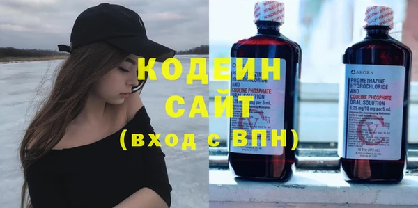 гидра Богданович
