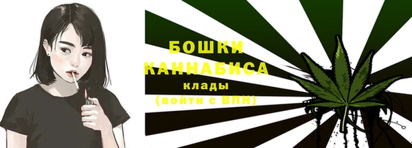 твердый Бородино