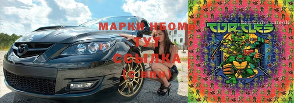 гидра Богданович