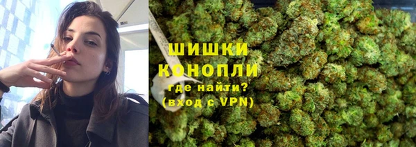 твердый Инта