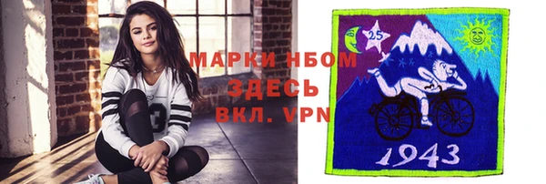 твердый Бородино